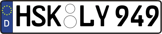 HSK-LY949
