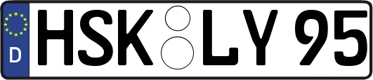 HSK-LY95