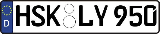 HSK-LY950