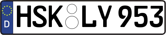 HSK-LY953