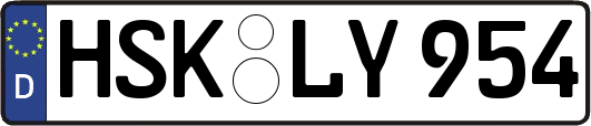 HSK-LY954
