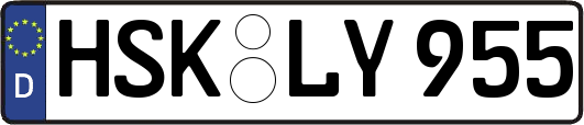 HSK-LY955
