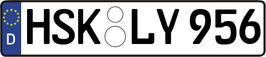 HSK-LY956