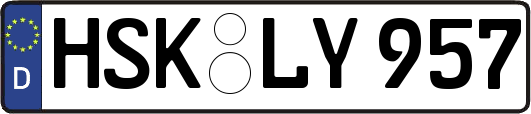 HSK-LY957