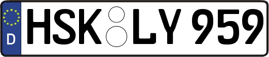 HSK-LY959