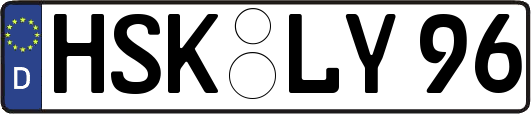 HSK-LY96