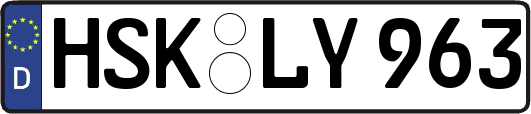 HSK-LY963