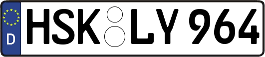 HSK-LY964