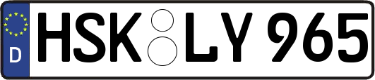 HSK-LY965
