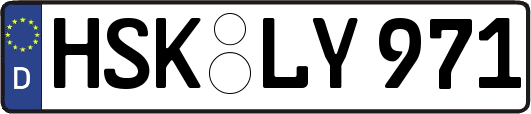 HSK-LY971