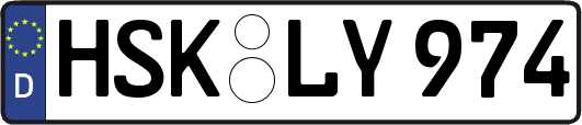 HSK-LY974