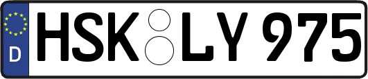 HSK-LY975