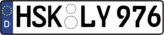 HSK-LY976