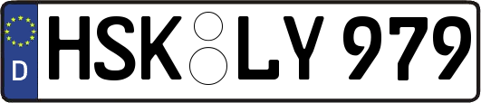 HSK-LY979
