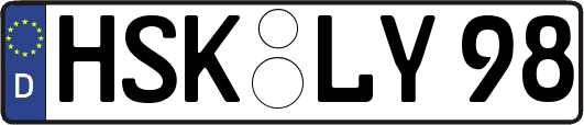 HSK-LY98