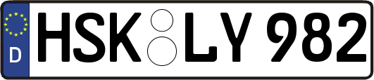 HSK-LY982