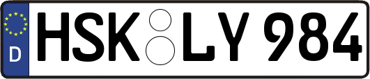 HSK-LY984