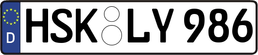 HSK-LY986