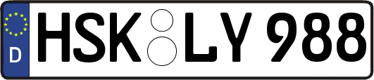 HSK-LY988