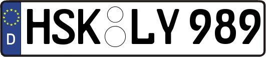 HSK-LY989