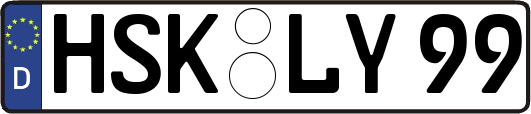 HSK-LY99