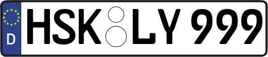 HSK-LY999