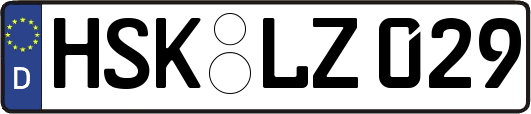 HSK-LZ029