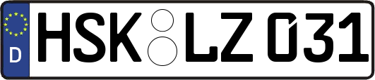 HSK-LZ031