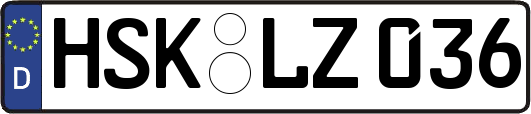HSK-LZ036