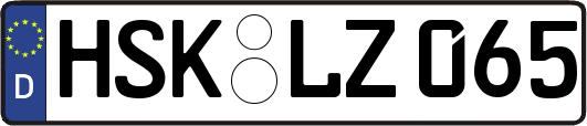 HSK-LZ065