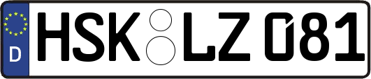 HSK-LZ081