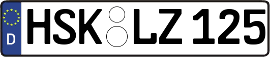 HSK-LZ125