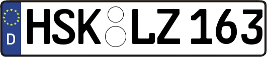 HSK-LZ163