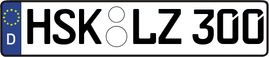 HSK-LZ300