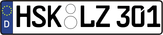 HSK-LZ301