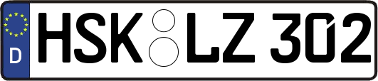 HSK-LZ302