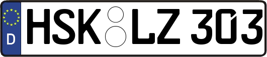 HSK-LZ303