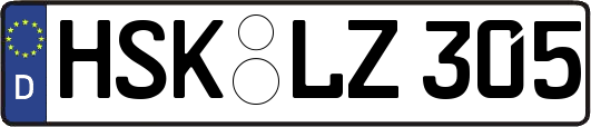 HSK-LZ305