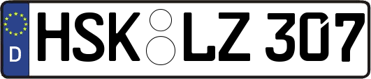 HSK-LZ307