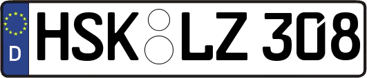 HSK-LZ308