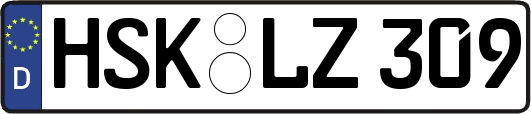 HSK-LZ309