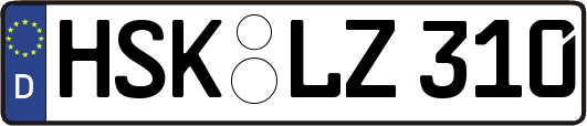 HSK-LZ310