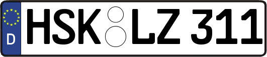 HSK-LZ311