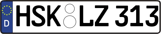 HSK-LZ313