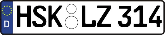 HSK-LZ314