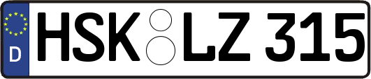 HSK-LZ315
