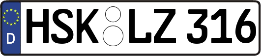 HSK-LZ316