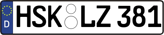 HSK-LZ381