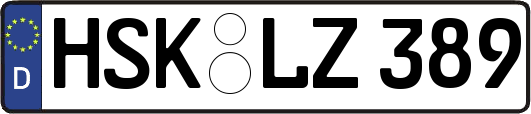 HSK-LZ389