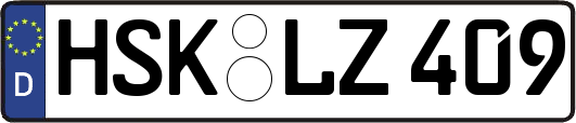 HSK-LZ409